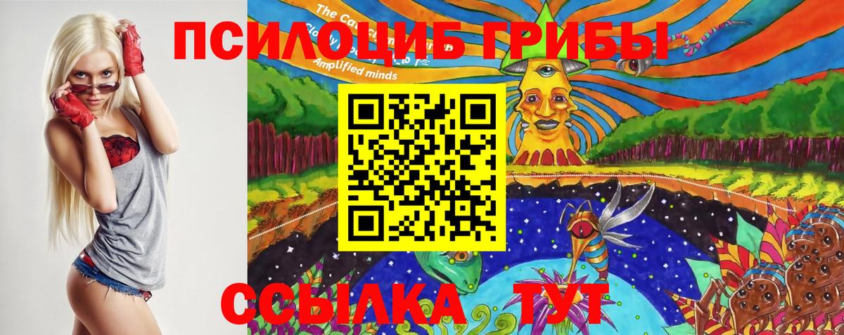 Галлюциногенные грибы Psilocybe Трёхгорный