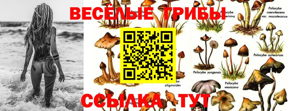 Псилоцибиновые грибы MAGIC MUSHROOMS  Вход с VPN  Трёхгорный 
